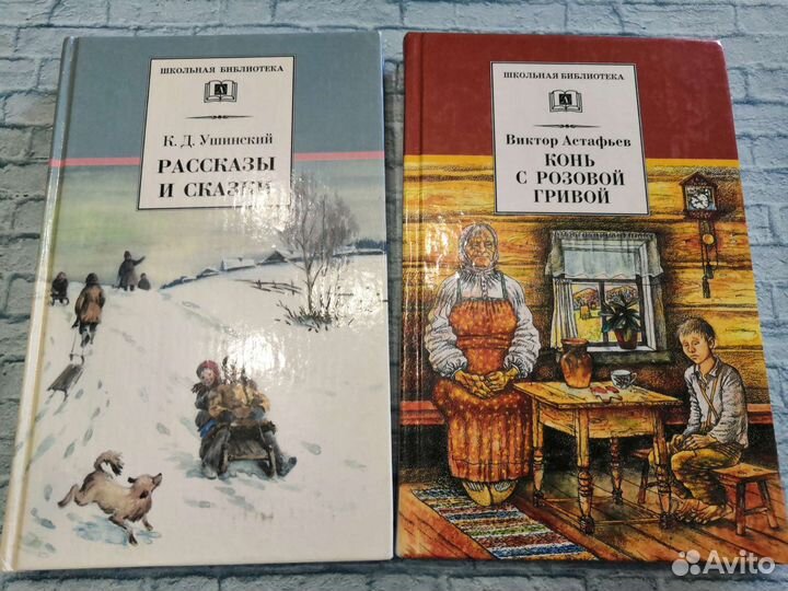 Школьная библиотека, программа. Стрекоза