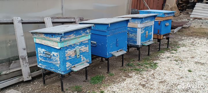 Продам улья для пчёл
