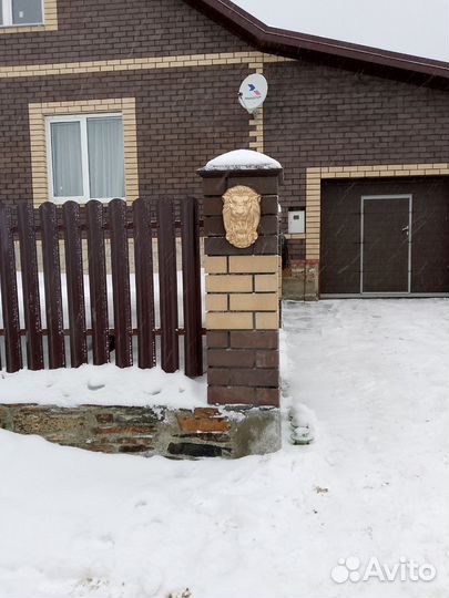 Голова льва