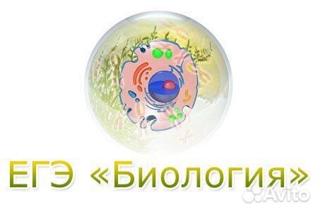 Репетитор по Биологии