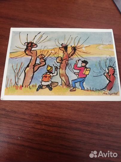 Лот колекционных иностранных открыток