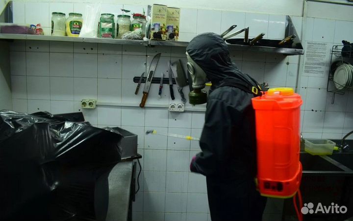 Уничтожение клопов тараканов блох грызунов плесени