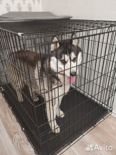 Клетка для собак и кошек вольеры магазин клеток