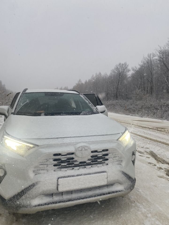 Toyota RAV4: фото владельца