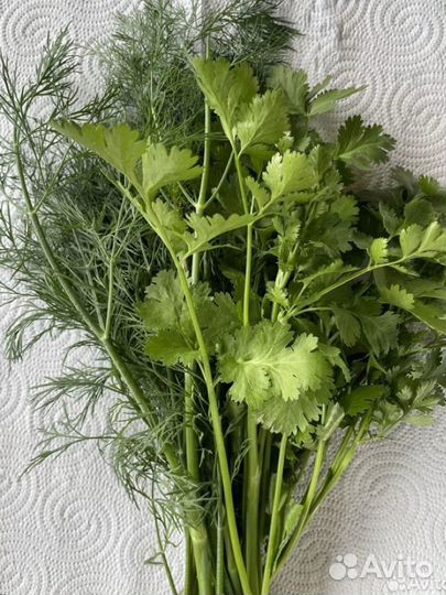 Черешня вишня с доставкой