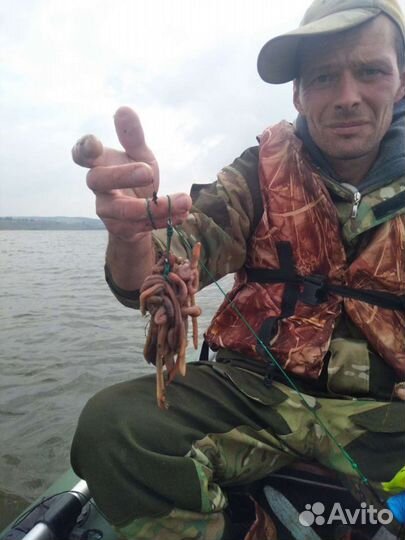 Охота и рыбалка