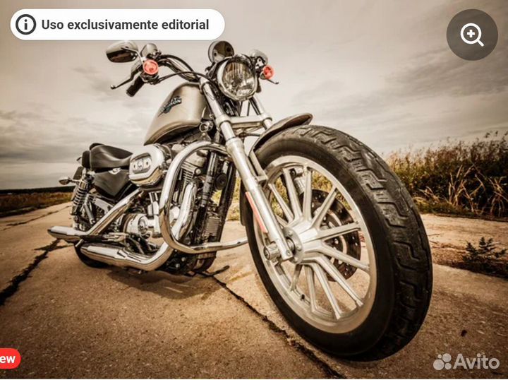 Harley Davidson sportster xl883n