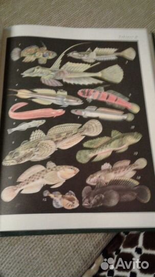 Жизнь животных в 7 томах