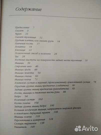 Анатомия для художников