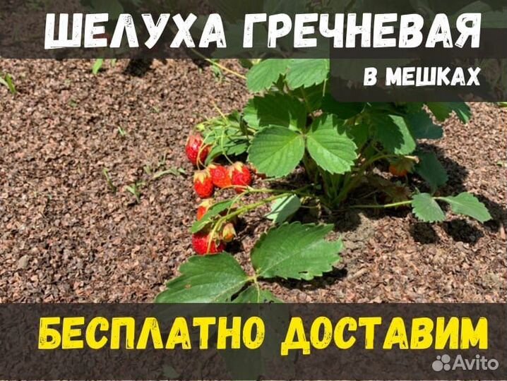 Шелуха мульча гречки