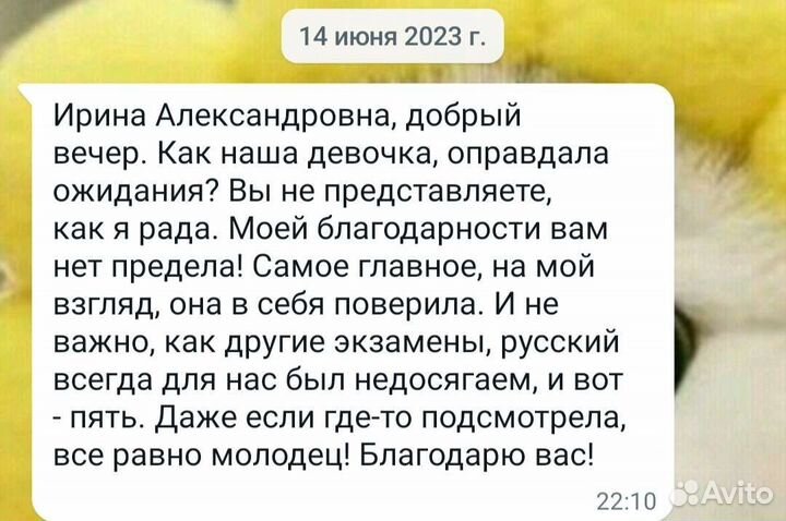 Репетитор по русскому языку. Подготовка к огэ,егэ