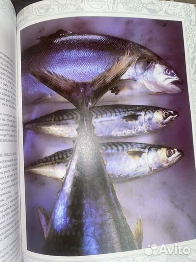 Книга о еде. Еда наш друг, еда наш враг