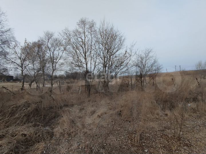 Участок 20 сот. (СНТ, ДНП)