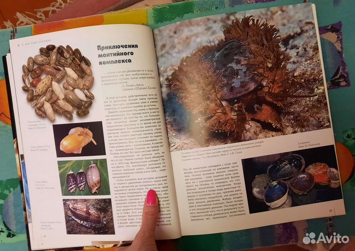 Новая книга 