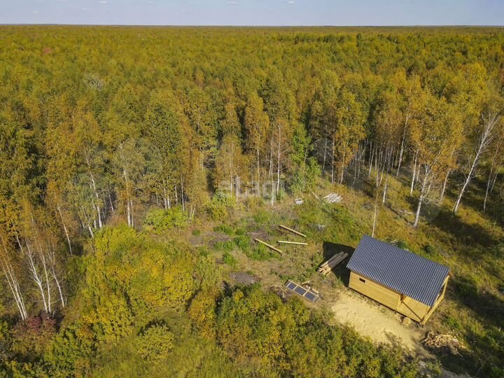 Участок 4,8 сот. (СНТ, ДНП)