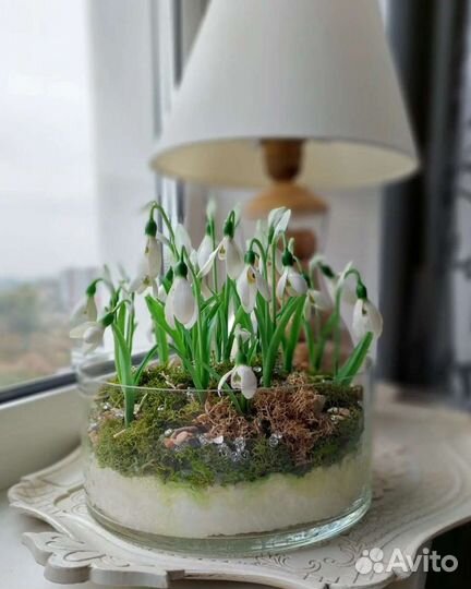 Подснежники из холодного фарфора
