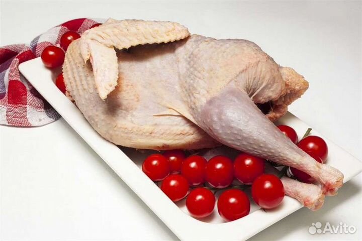 Домашняя утка,гусь