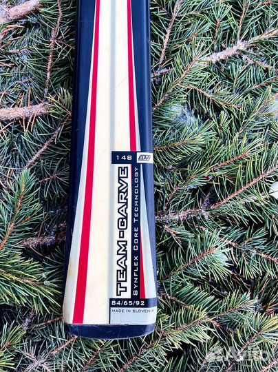 Карвинговые горные лыжи Elan Team Carve