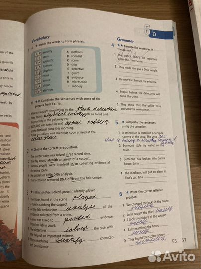 Starlight 7 workbook