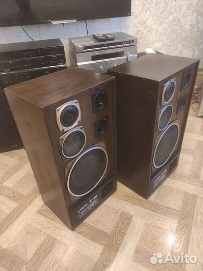 Radiotehnika S90 35ас-012