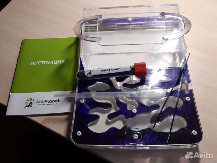 Муравьиная ферма без муравьёв