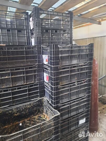 Продам ящики пластиковые