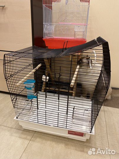 Клетка. Пользовались 2 дня