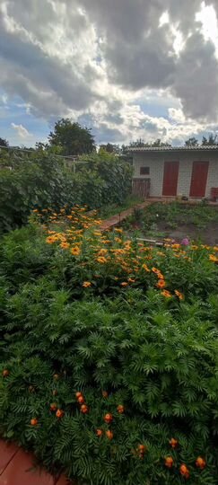 Дача 56 м² на участке 8 сот.