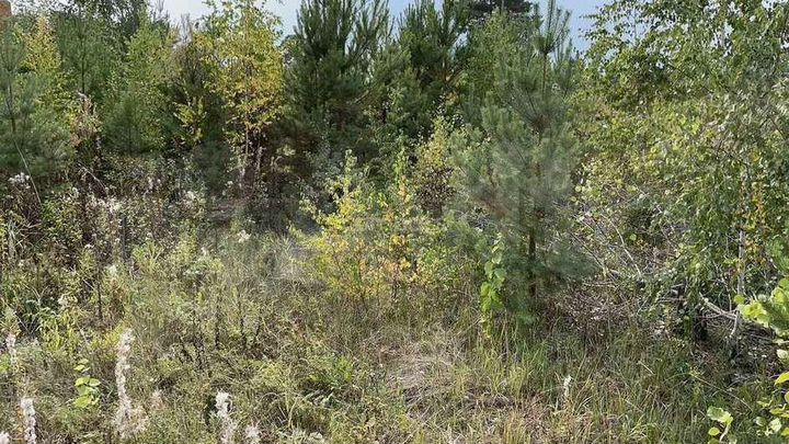 Участок 12,9 сот. (СНТ, ДНП)