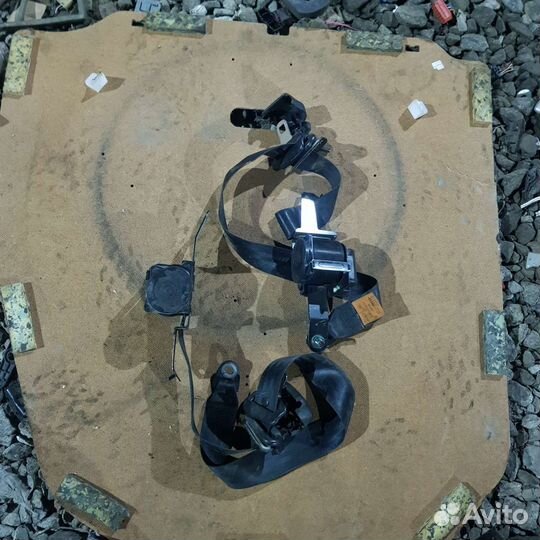 Ремень передний левый заз шанс