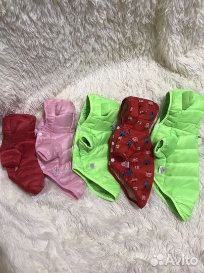 Продам новые вещи на маленькую собачку