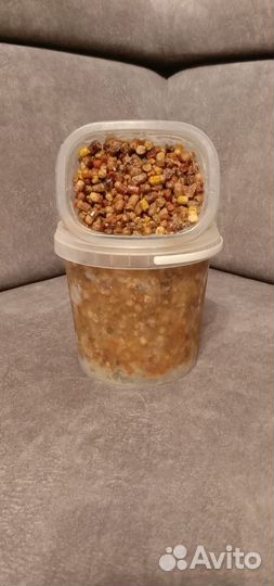 Мёд, перга пчелиная