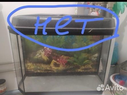 Аквариум 15л