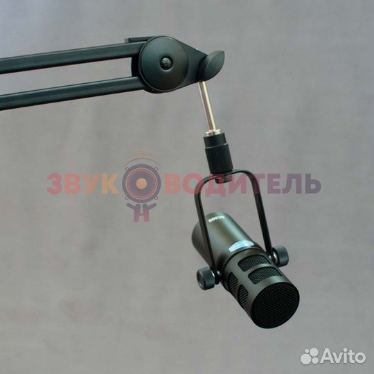 Микрофон динамический, студийный Alctron BC600