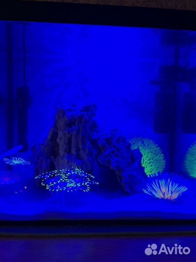 Аквариум со всем необходимым