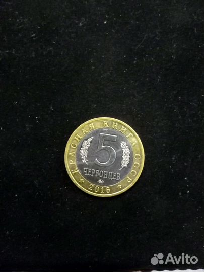 Красная книга СССР. Китайский окунь