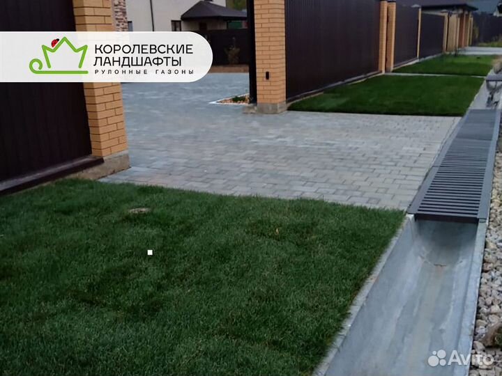 Рулонный газон