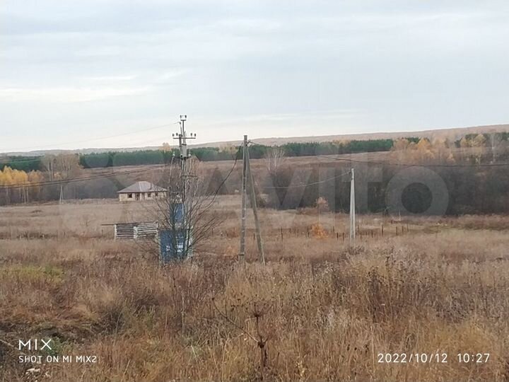 Участок 10 сот. (СНТ, ДНП)