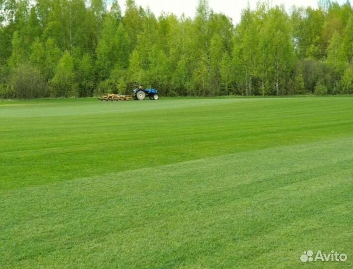 Рулонный газон от производителя