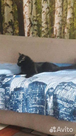 Гостиница для животных