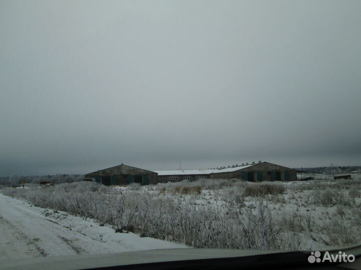 Продается с/х производство в Московской области