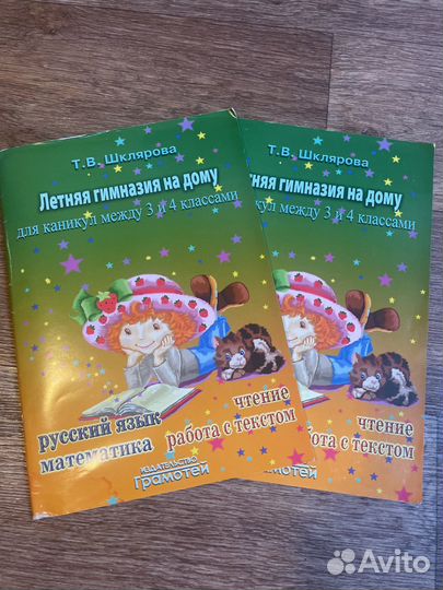 Летняя гимназия