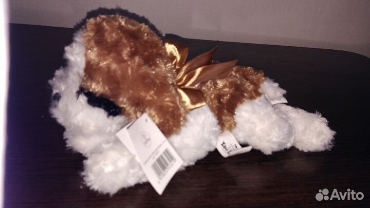 Панда из Китая, отдам собачку