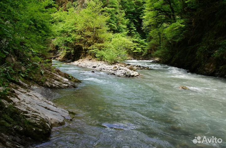 Турпоездка в Sochi от 7 дн