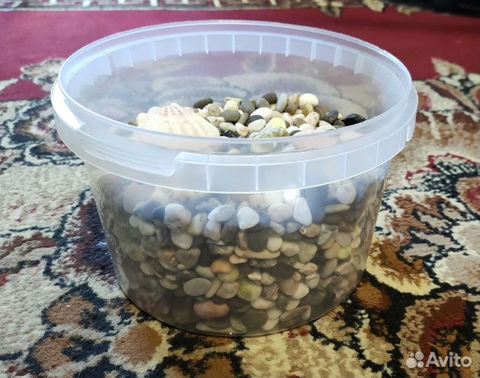 Грунт в аквариум