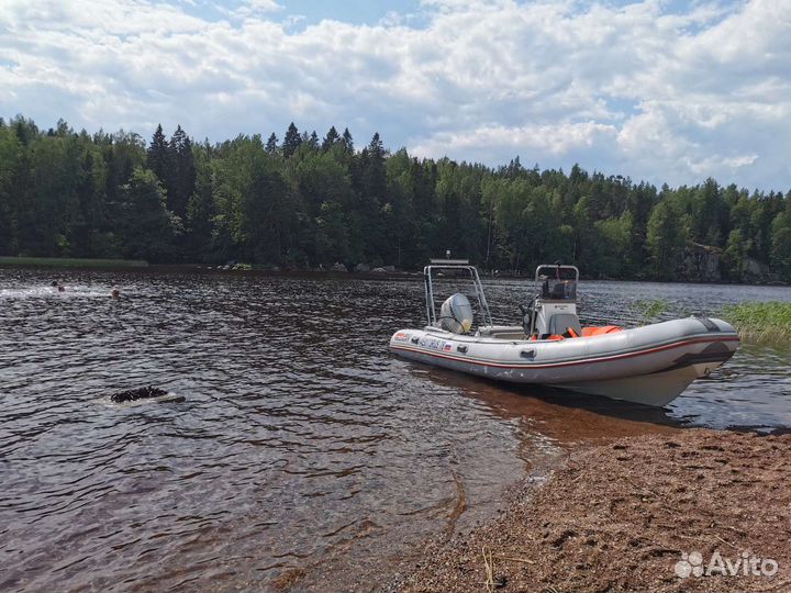 Риб (RIB) Valiant 520