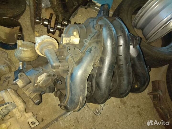 Двигатель на форд фокус 2 qqdb