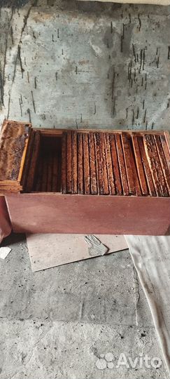 Продам ульи для пчел