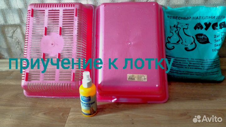 Лоток для кошек с сеткой