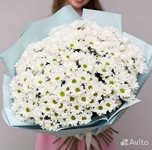 Хризантема Доставка цветов